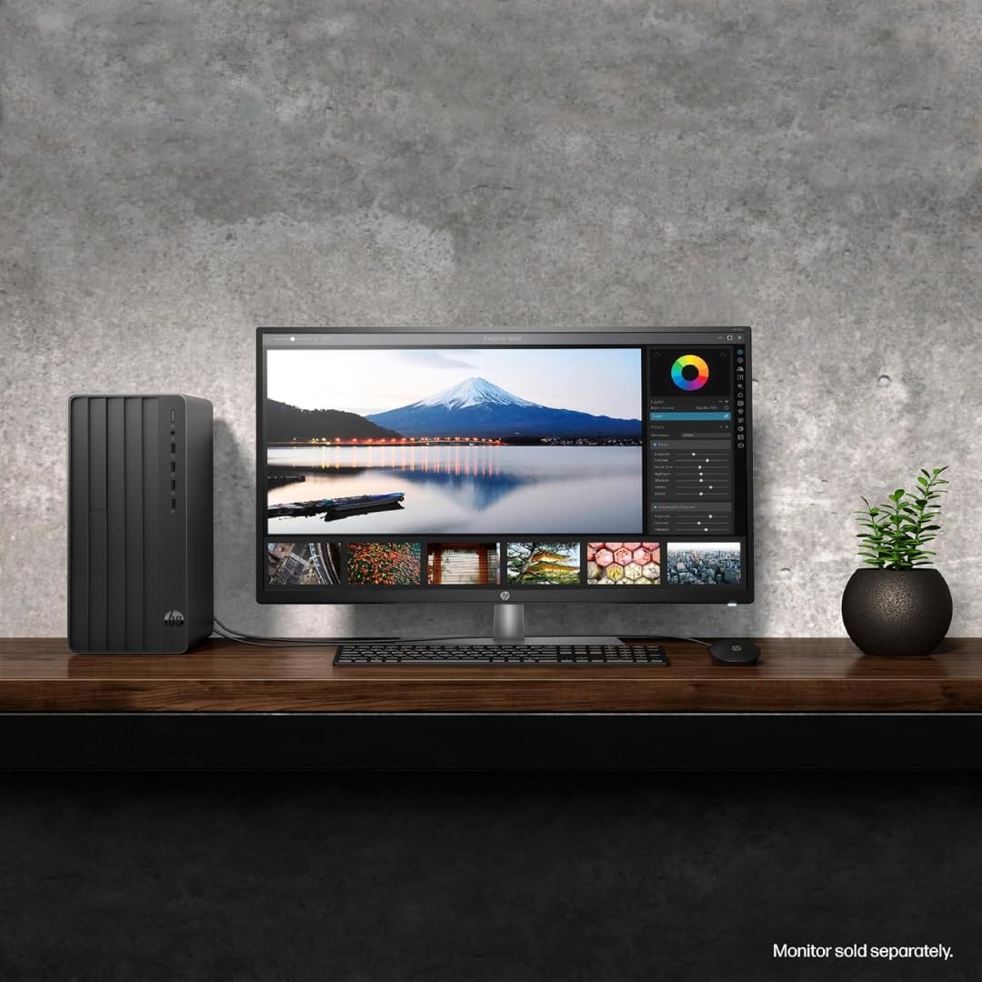Amazon.com: HP Pro Tower 290 G9 Business Desktop, 13th Gen Intel 4